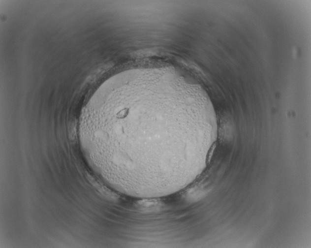 X0000072990477200608211520