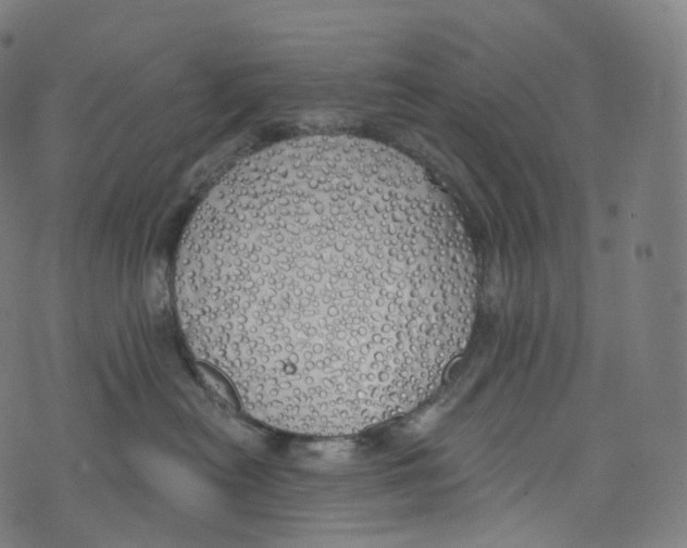 X0000072990478200608211520