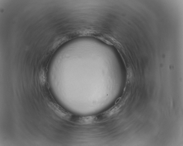 X0000072990479200608211520