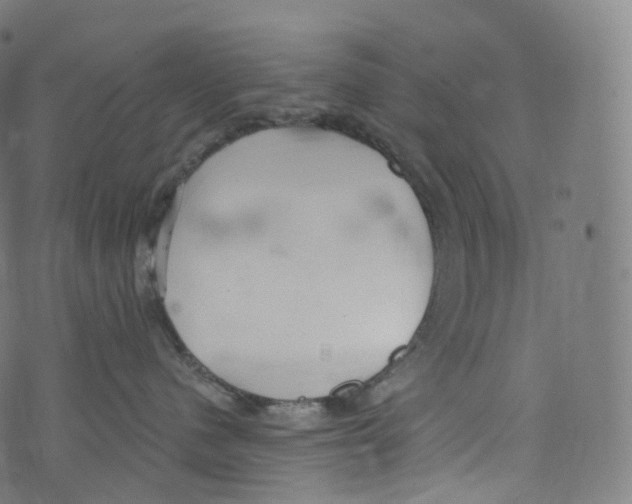 X0000072990480200608211520