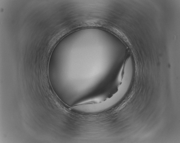 X0000072990481200608211520