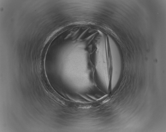 X0000072990484200608211520