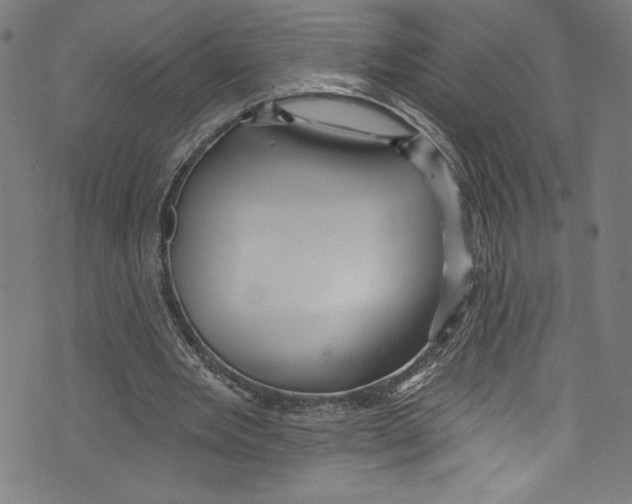 X0000072990485200608211520