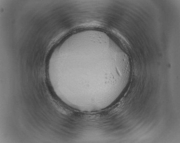 X0000072990486200608211519