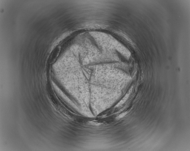 X0000072990488200608211519