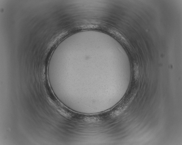 X0000072990490200608211519