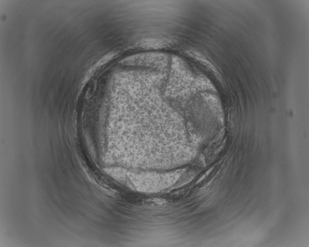 X0000072990492200608211519