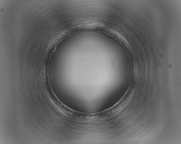 X0000072990493200608211519