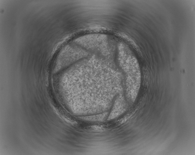 X0000072990496200608211519