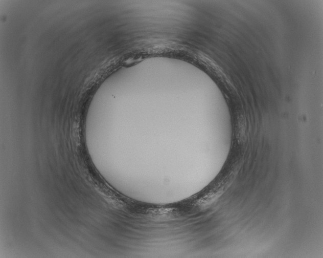 X0000072990497200608211519