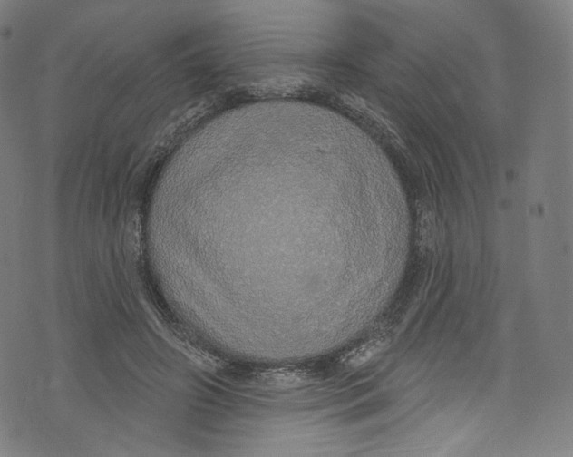 X0000072990498200608211519