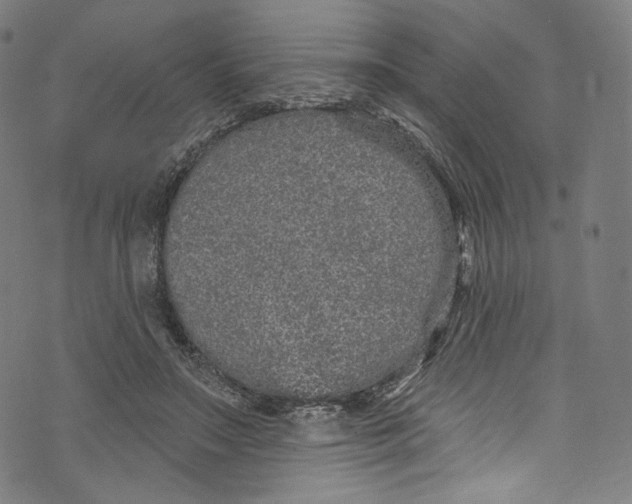 X0000072990499200608211519