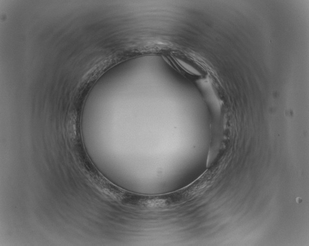 X0000072990501200608211519