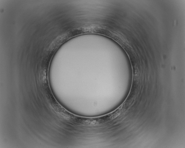 X0000072990502200608211519