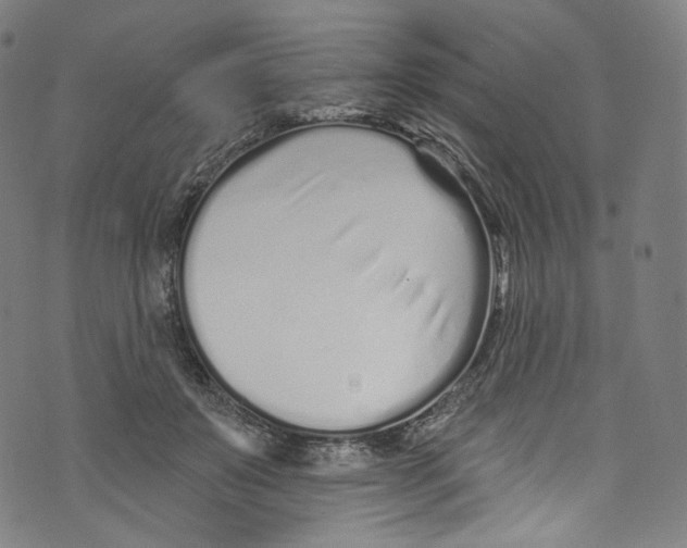 X0000072990503200608211519