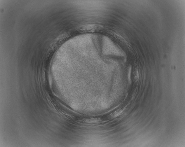 X0000072990504200608211519