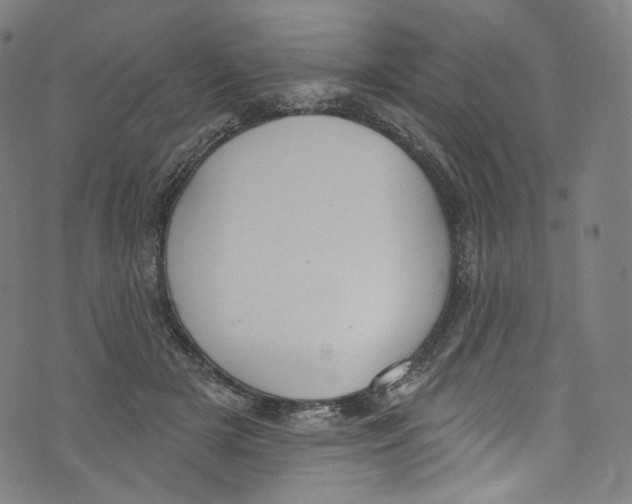 X0000072990505200608211519