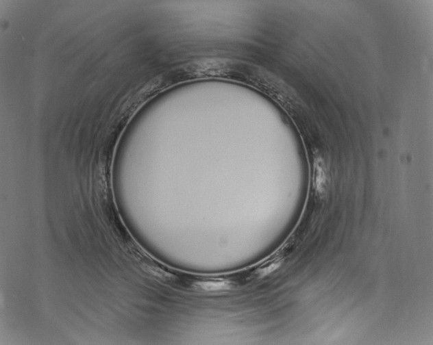 X0000072990506200608211519