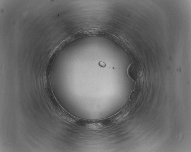 X0000072990508200608211519