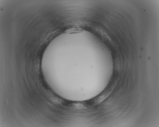 X0000072990509200608211519