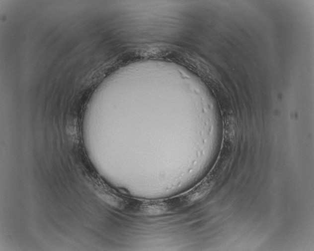 X0000072990510200608211519