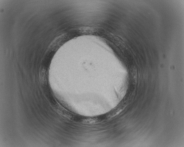 X0000072990511200608211519