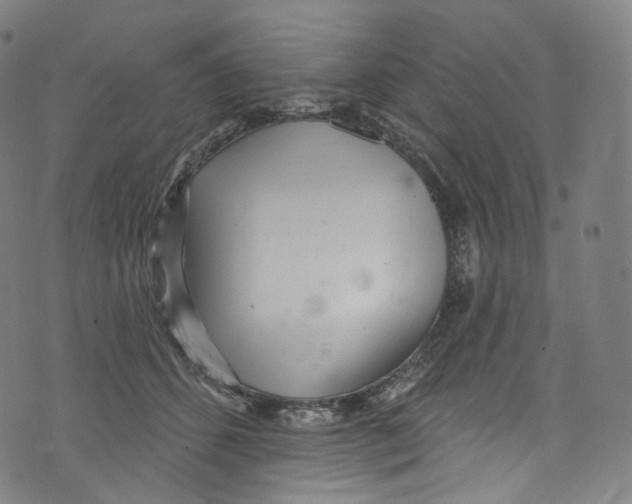 X0000072990512200608211519