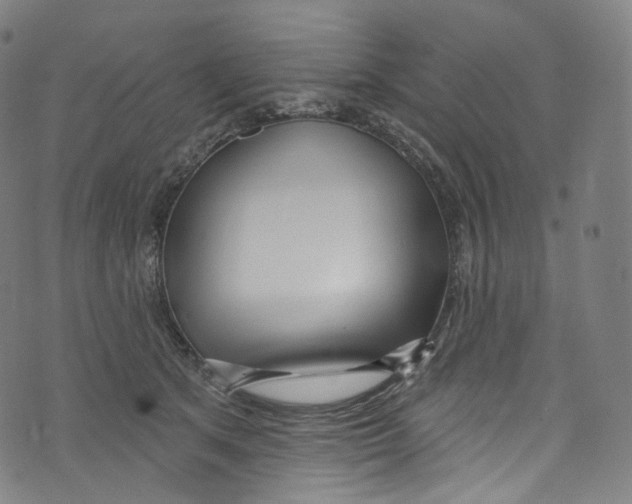 X0000072990513200608211519