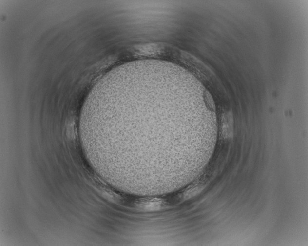 X0000072990514200608211519