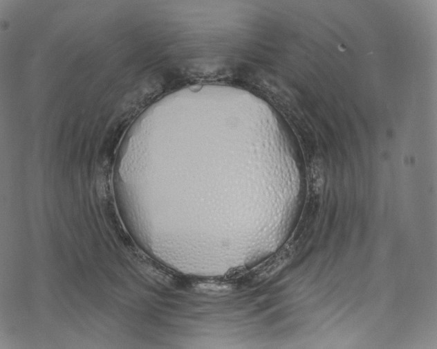 X0000072990515200608211519