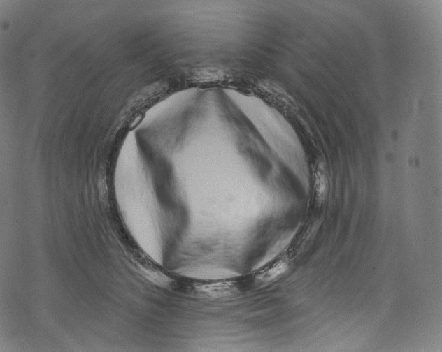 X0000072990516200608211519