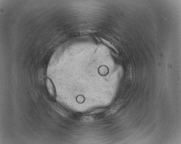 X0000072990519200608211519