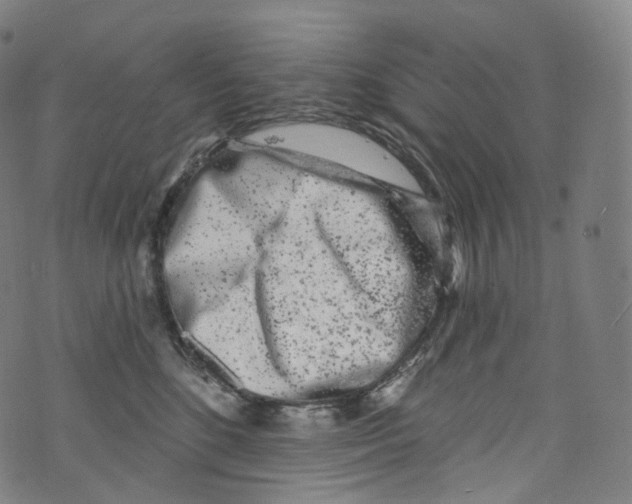 X0000072990520200608211519