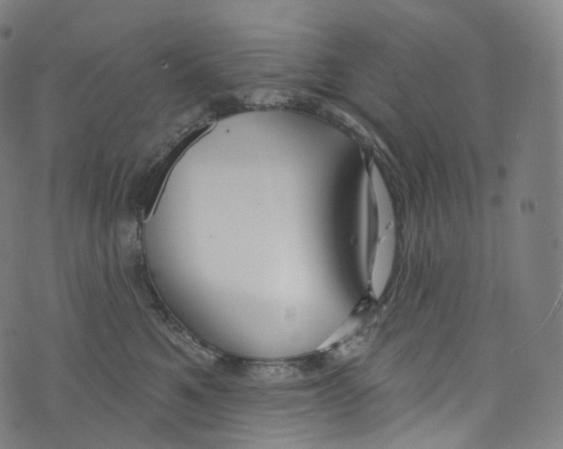 X0000072990521200608211519