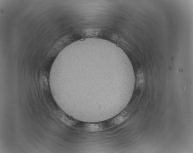 X0000072990522200608211519