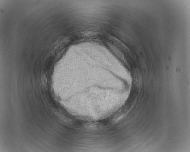 X0000072990523200608211519