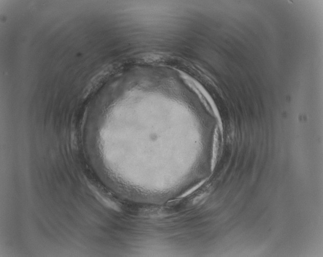 X0000072990524200608211519