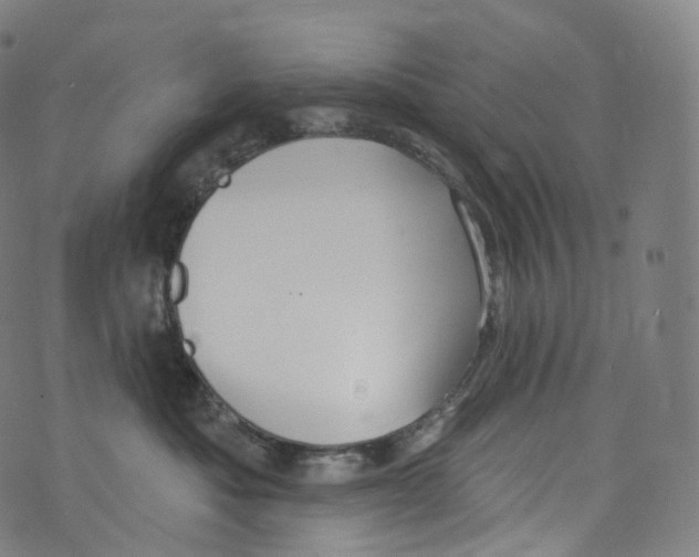 X0000072990525200608211519