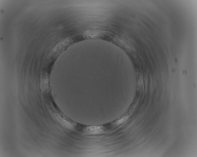 X0000072990526200608211519