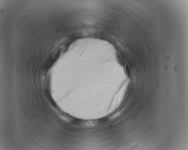 X0000072990527200608211519