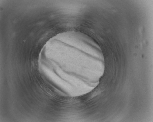 X0000072990528200608211519