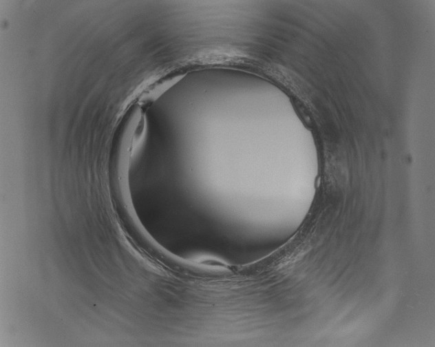 X0000072990530200608211518