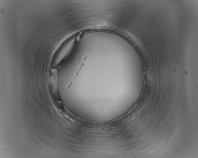 X0000072990532200608211518