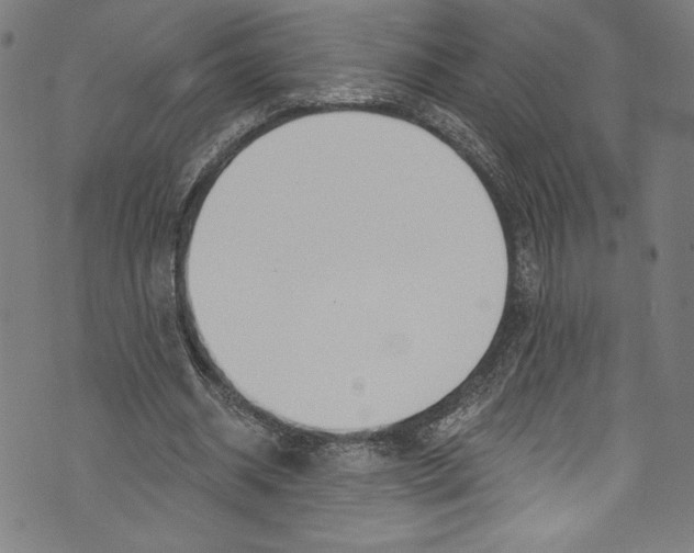 X0000072990534200608211518