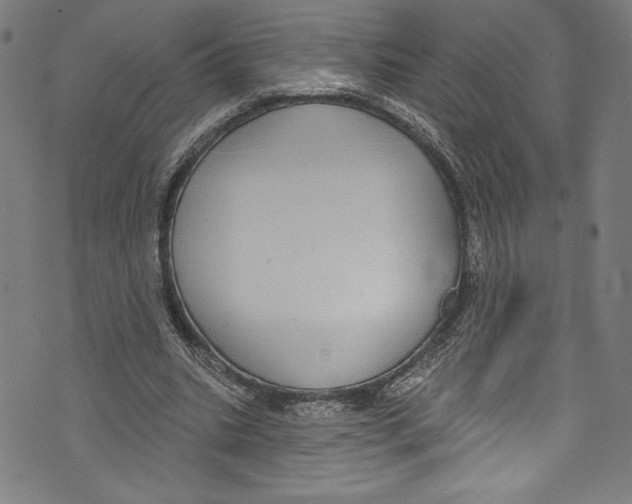 X0000072990535200608211518