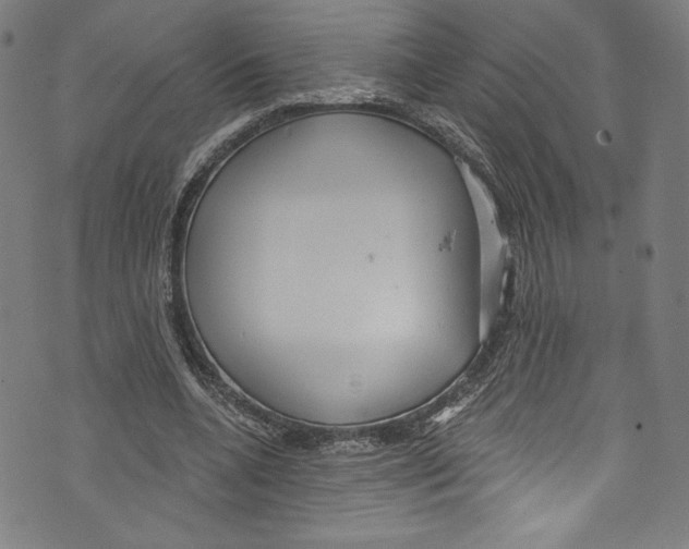 X0000072990536200608211518