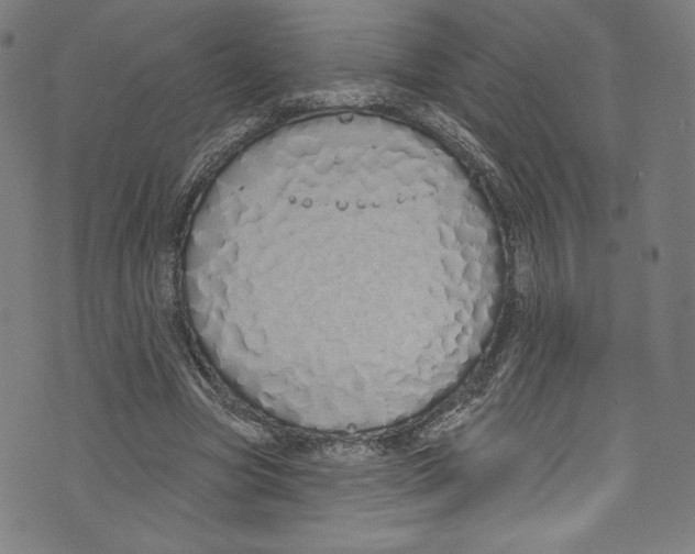 X0000072990537200608211518