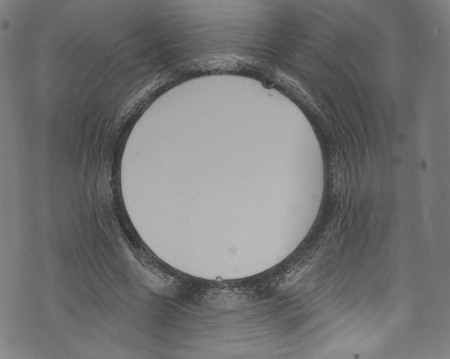 X0000072990538200608211518