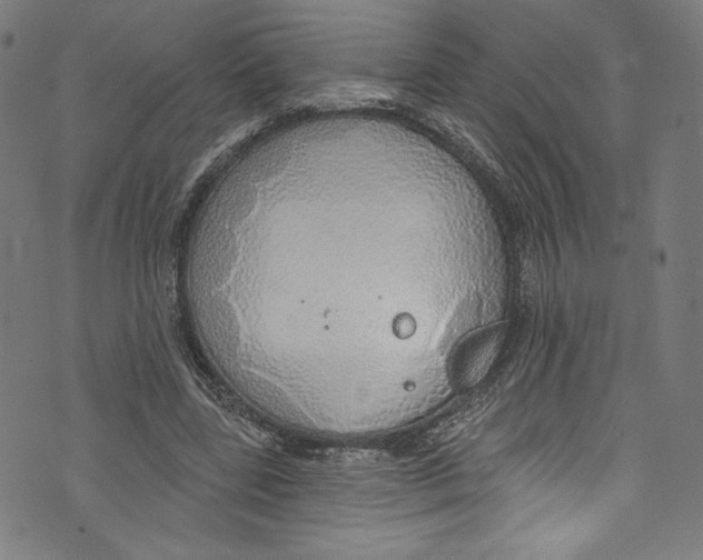 X0000072990539200608211518