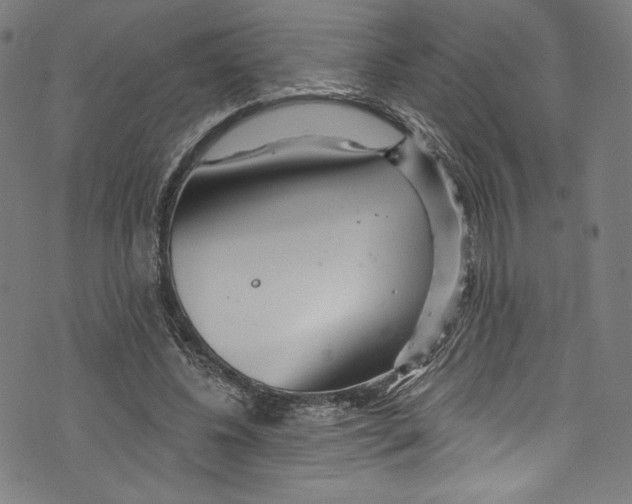 X0000072990540200608211518